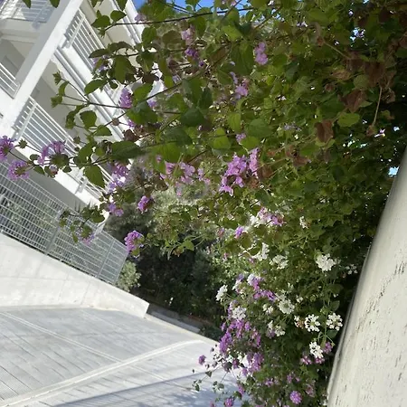 アパート Attico Fronte Mare Residenza Matilde キアーヴァリ